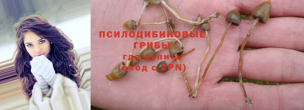 скорость Алзамай