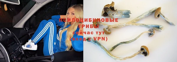 мяу мяу кристалл Алексеевка